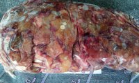 Niere vom Rind geschnitten 500g